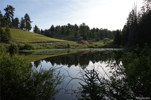 4195 Cedar Mountain Rd, Divide, CO 80814 - photo 16