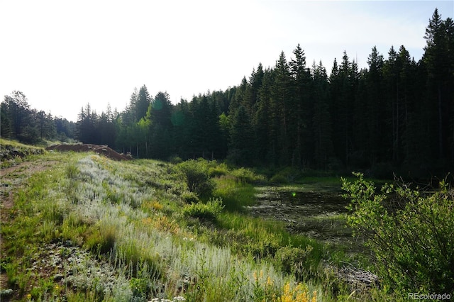 4195 Cedar Mountain Rd, Divide, CO 80814 - photo 17