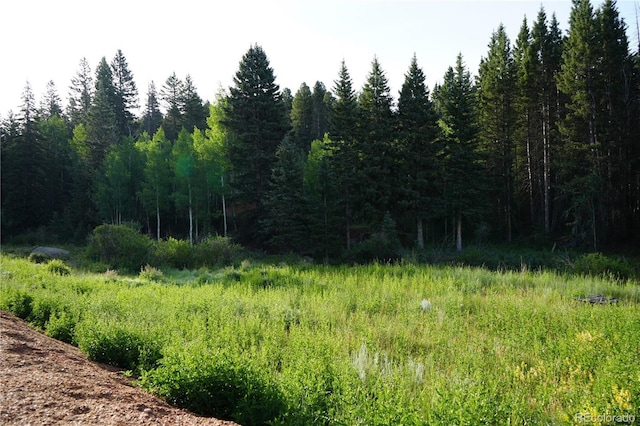 4195 Cedar Mountain Rd, Divide, CO 80814 - photo 18