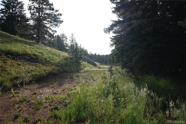 4195 Cedar Mountain Rd, Divide, CO 80814 - photo 22