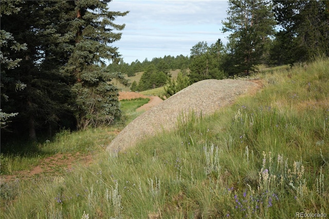 4195 Cedar Mountain Rd, Divide, CO 80814 - photo 25