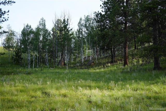 4195 Cedar Mountain Rd, Divide, CO 80814 - photo 26