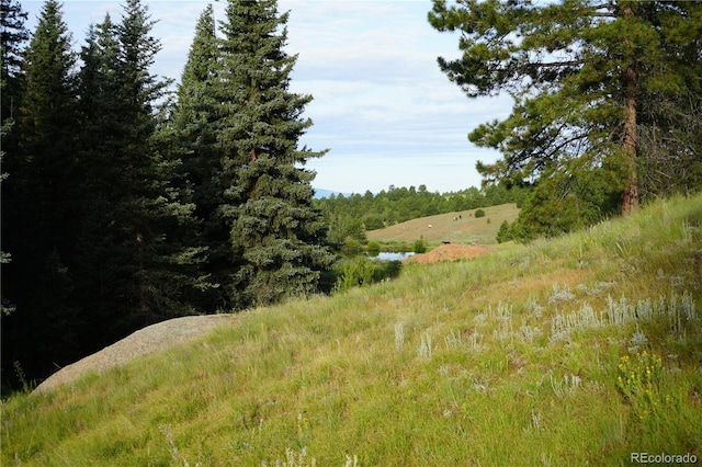 4195 Cedar Mountain Rd, Divide, CO 80814 - photo 27