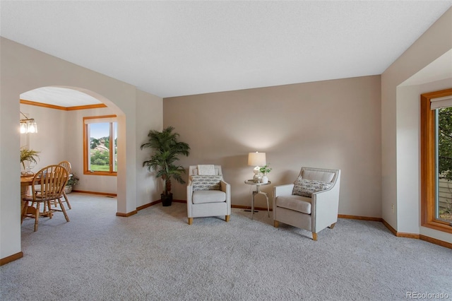 3 Silverberry, Littleton, CO 80127 - sitting room with plenty of natural light, arched walkways, and carpet flooring