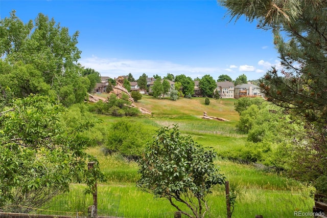 3 Silverberry, Littleton, CO 80127 - view of yard