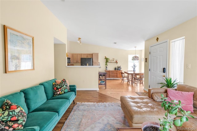 8405 Pebble Creek Way Unit 202, Highlands Ranch, CO 80126 - living room featuring light wood-style flooring and lofted ceiling
