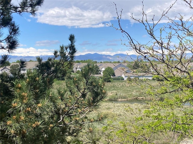 8405 Pebble Creek Way Unit 202, Highlands Ranch, CO 80126 - view of mountain backdrop with nearby suburban area