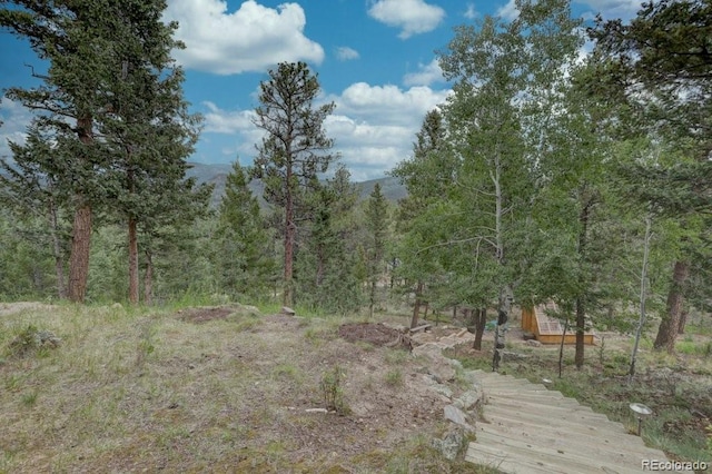 220 Long Ridge Dr, Bailey, CO 80421 - view of wooded area
