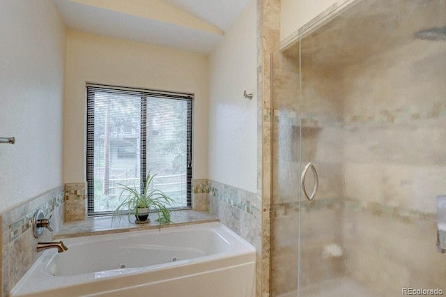 220 Long Ridge Dr, Bailey, CO 80421 - full bathroom featuring a stall shower and a whirlpool tub