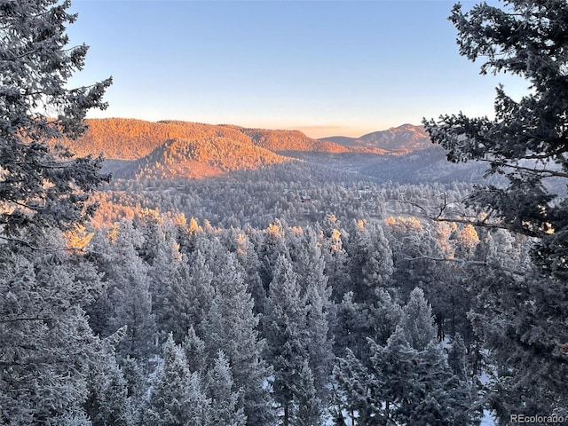 220 Long Ridge Dr, Bailey, CO 80421 - view of mountain background with a heavily wooded area