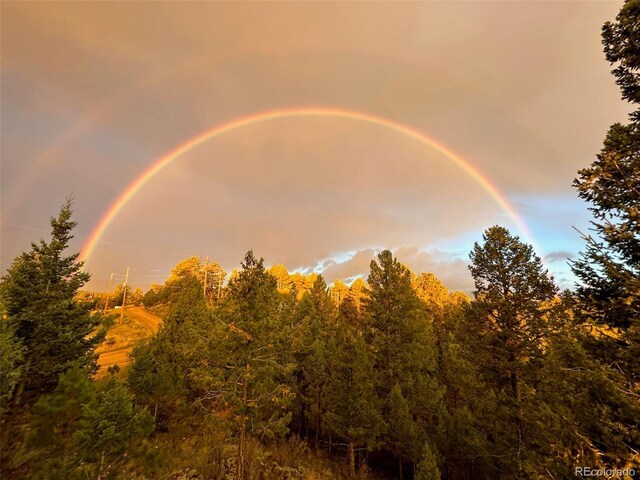 220 Long Ridge Dr, Bailey, CO 80421 - view of undeveloped land