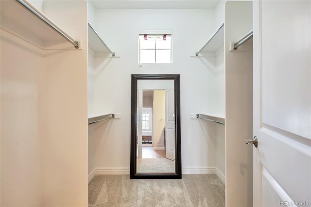 walk in closet featuring carpet flooring
