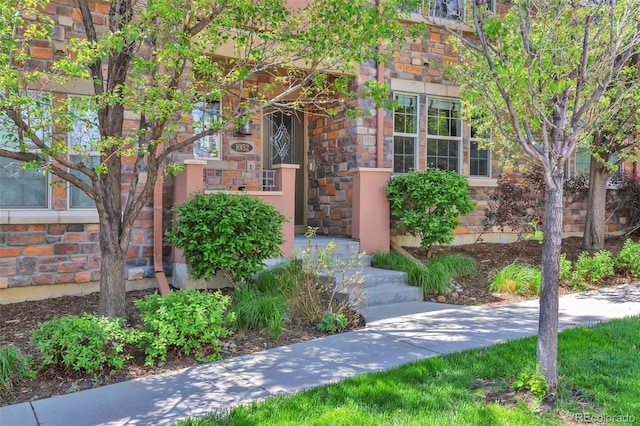 entrance to property with stone siding