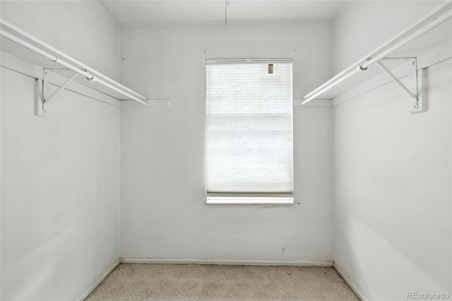 2527 S Ouray Way, Aurora, CO 80013 - walk in closet featuring carpet