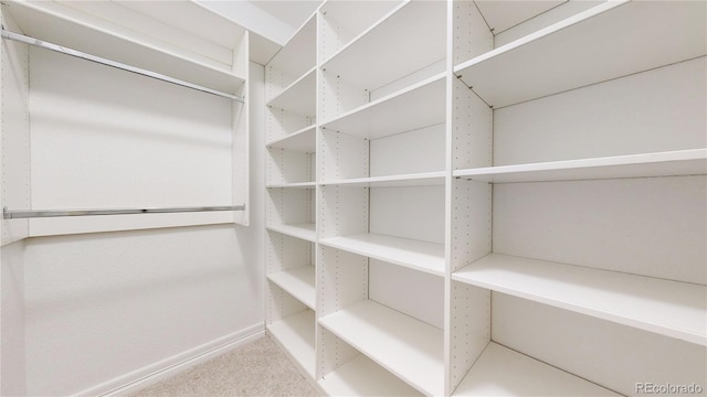 203 S Jackson St, Denver, CO 80209 - spacious closet featuring carpet flooring