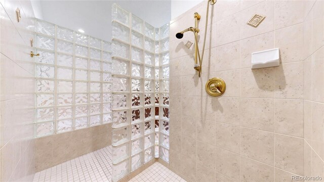 203 S Jackson St, Denver, CO 80209 - full bath with walk in shower