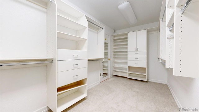 203 S Jackson St, Denver, CO 80209 - walk in closet with light carpet