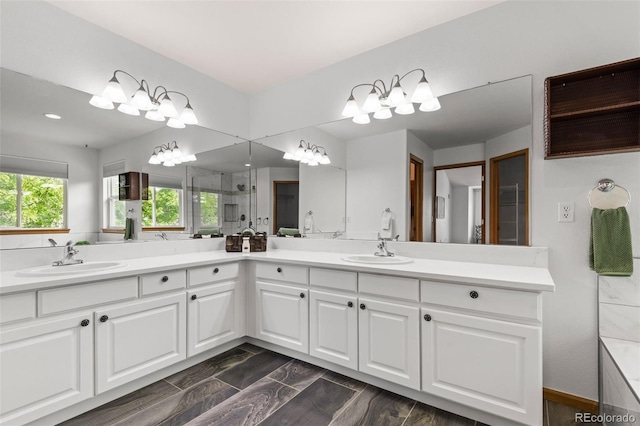 10284 Royal Eagle St, Highlands Ranch, CO 80129 - bathroom featuring double vanity, an enclosed shower, and recessed lighting