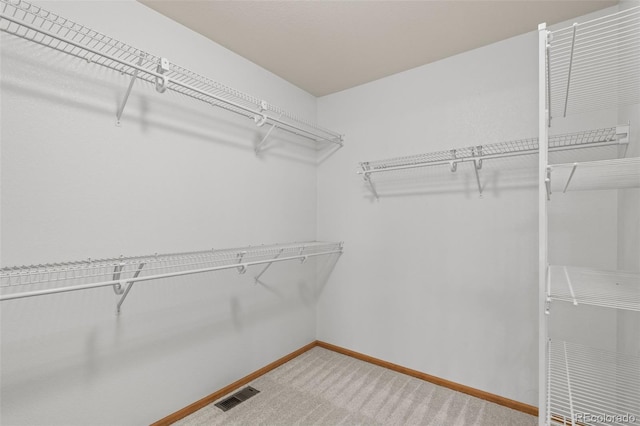 10284 Royal Eagle St, Highlands Ranch, CO 80129 - walk in closet with carpet flooring