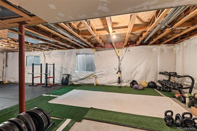10284 Royal Eagle St, Highlands Ranch, CO 80129 - view of basement