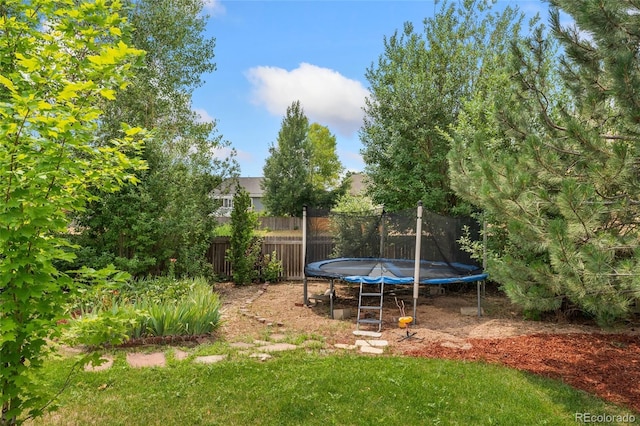 1547 Aspenwood Ln, Longmont, CO 80504 - photo 34