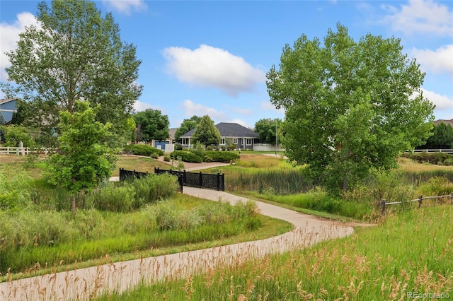1547 Aspenwood Ln, Longmont, CO 80504 - photo 47