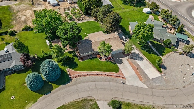 553 Greenwood Dr, Grand Junction, CO 81507 - photo 5