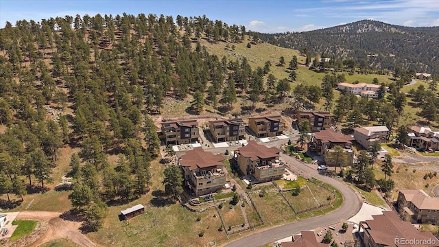 726 Dreamcatcher Ln, Evergreen, CO 80439 - photo 41