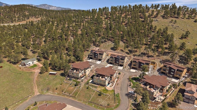 726 Dreamcatcher Ln, Evergreen, CO 80439 - photo 4