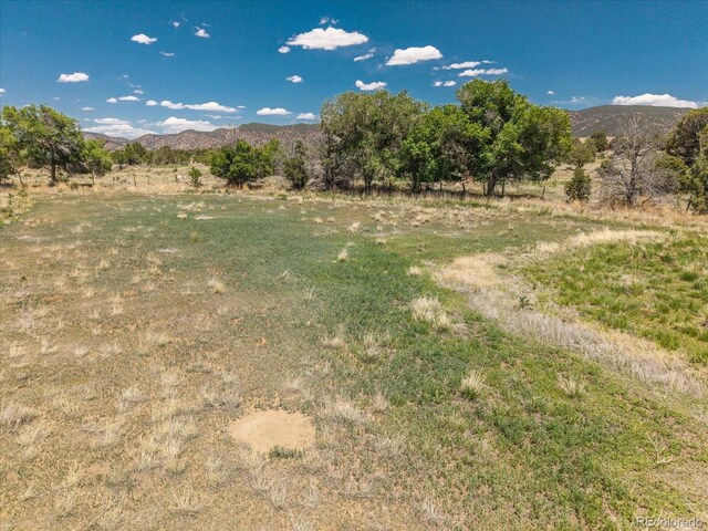11417 County Road 190 W, Salida, CO 81201 - photo 6