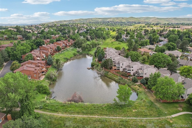 108 Ward Ct, Lakewood, CO 80228 - photo 28