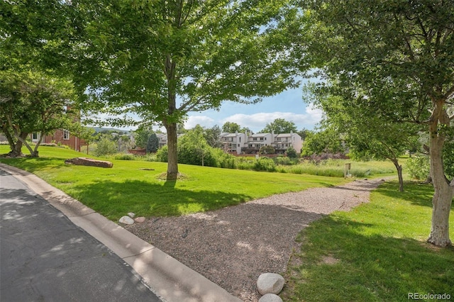 108 Ward Ct, Lakewood, CO 80228 - photo 29