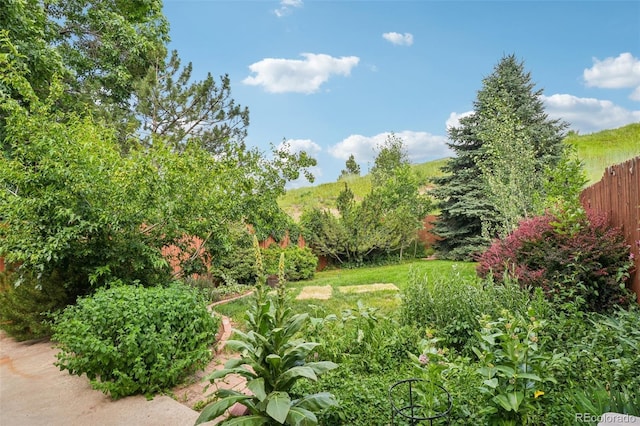 108 Ward Ct, Lakewood, CO 80228 - photo 24