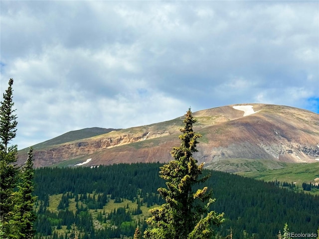 868 Nuthatch Dr, Alma, CO 80420 - photo 23