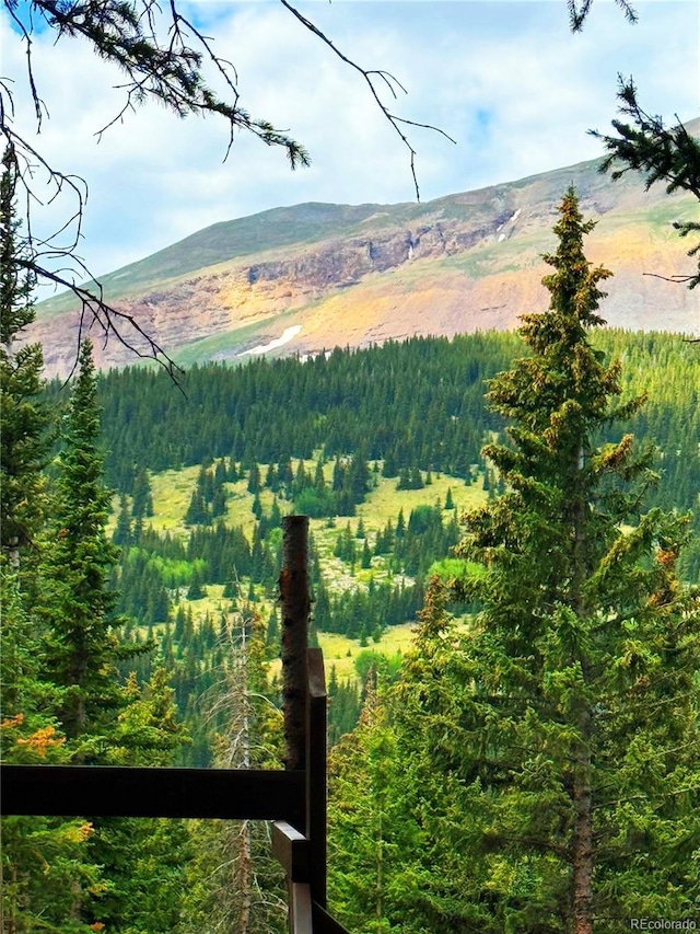868 Nuthatch Dr, Alma, CO 80420 - photo 24