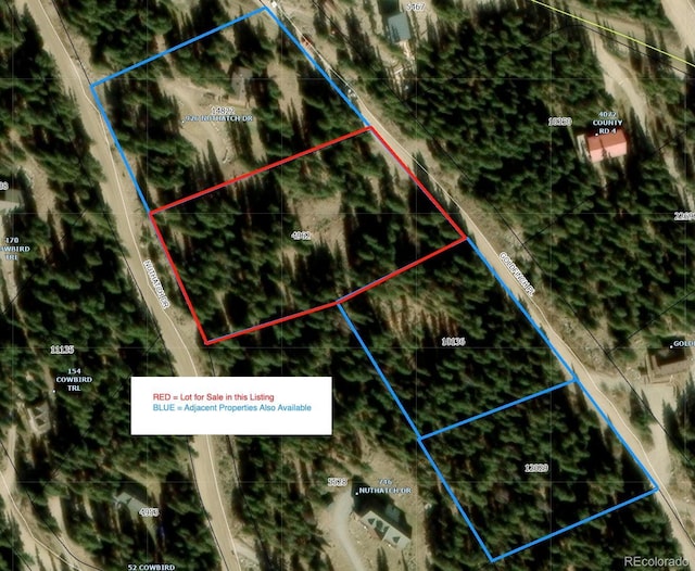 868 Nuthatch Dr, Alma, CO 80420 - photo 33