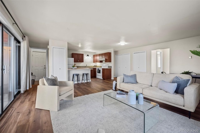 living area featuring dark wood finished floors