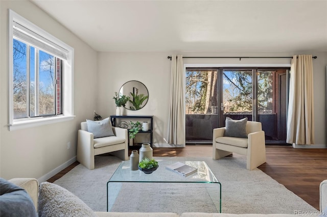 living room with baseboards, wood finished floors, and a healthy amount of sunlight