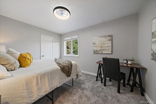11178 W 59th Pl, Arvada, CO 80004 - photo 26