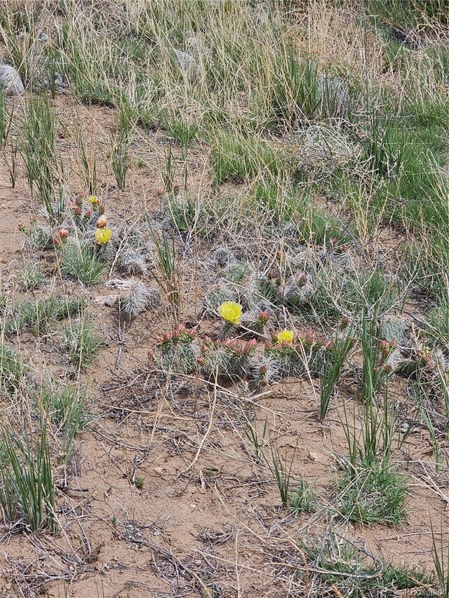 12645 Nn 17th St, Blanca, CO 81123 - photo 11