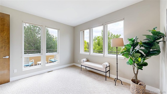 8041 E 29th Ave, Denver, CO 80238 - sitting room with plenty of natural light and carpet floors