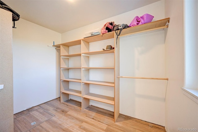 spacious closet featuring wood finished floors