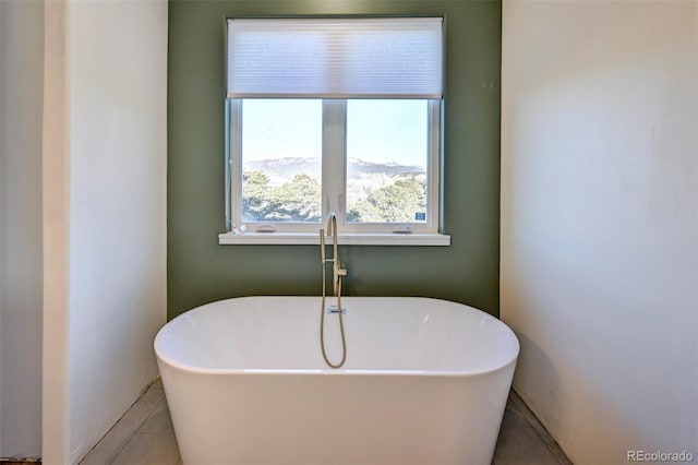 bathroom with a freestanding bath and tile patterned flooring