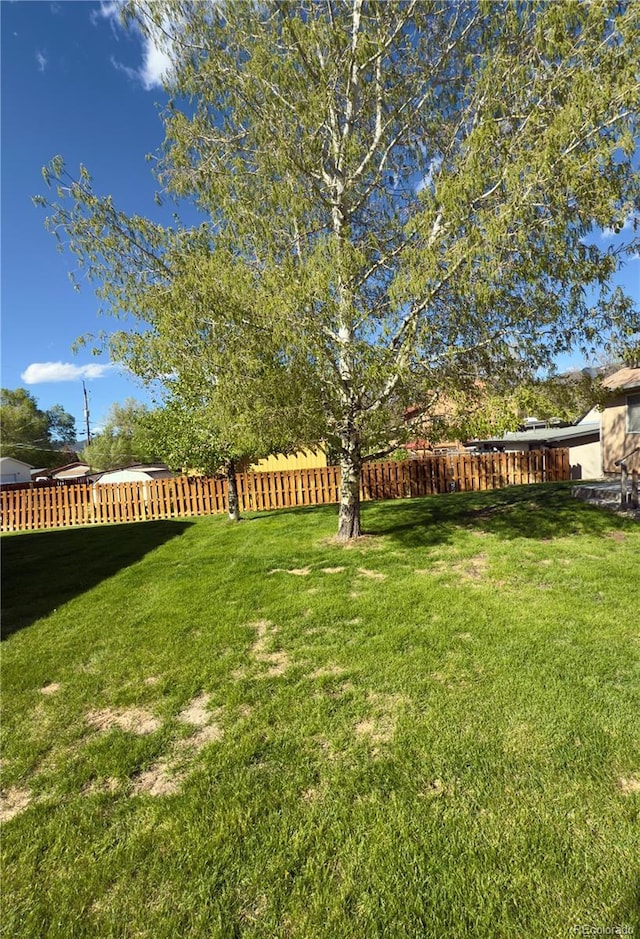 1436 H St Unit B, Salida, CO 81201 - view of yard