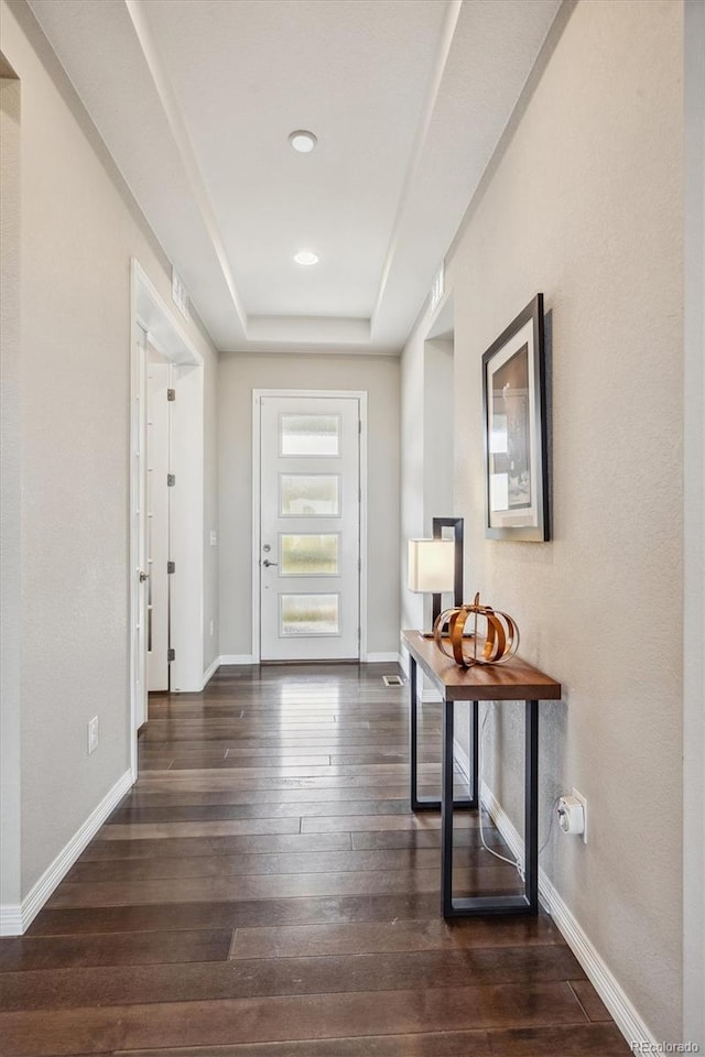 foyer entrance featuring dark wood-type flooring and a raised ceiling