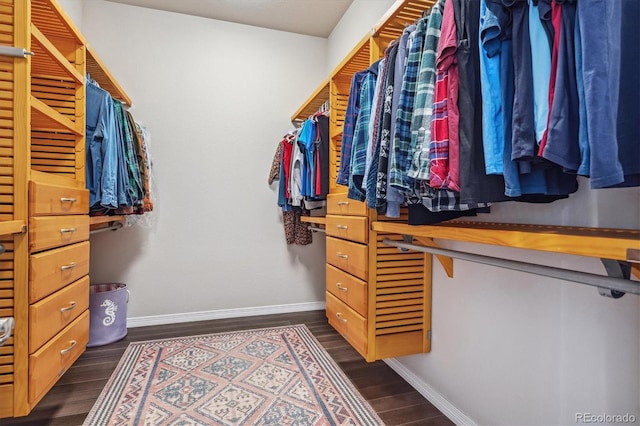 walk in closet featuring dark hardwood / wood-style floors