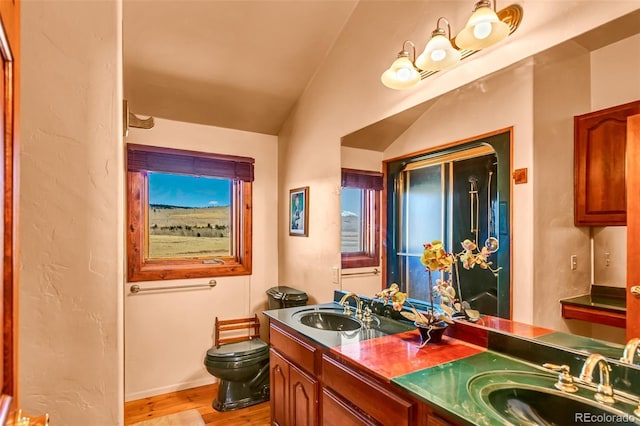 1528 Silverheels Rd, Fairplay, CO 80440 - bathroom featuring toilet, wood finished floors, double vanity, and baseboards