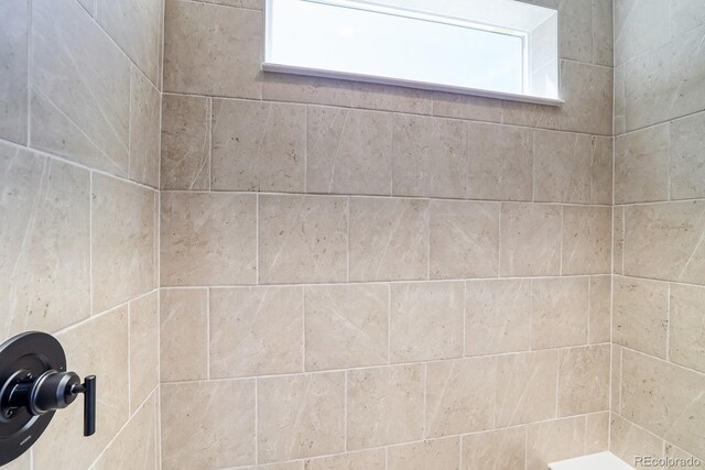 room details with tiled shower