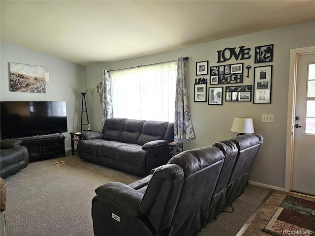 living area with baseboards and a wealth of natural light