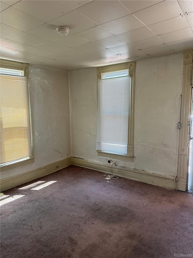 empty room featuring a drop ceiling and carpet floors